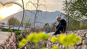 《油菜花儿开》 郝志明