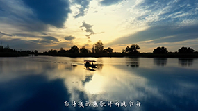 《种乡愁》 赵泽昊